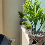 Kairos לינה וארוחת בוקר 4*